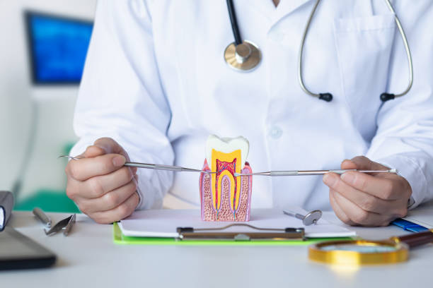 Best Emergency Root Canal Treatment in Rosebud, SD